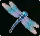 Libelle